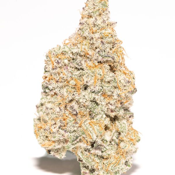 MAC (Miracle Alien Cookies)